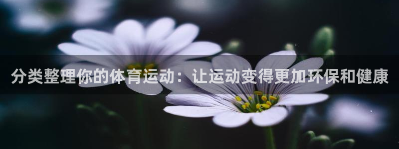 球王会体育
