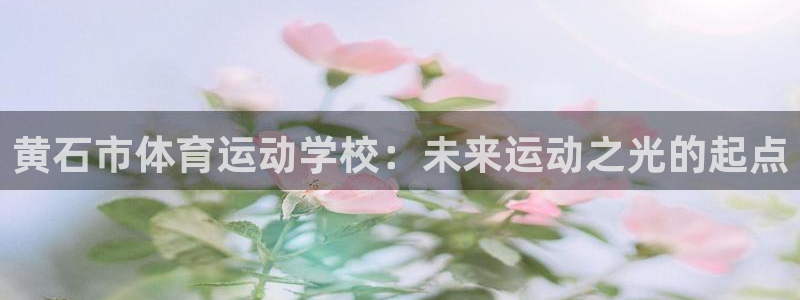 球王会体育