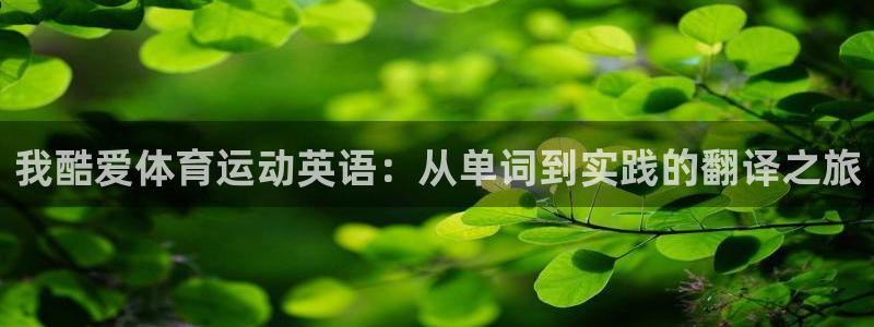 球王会体育