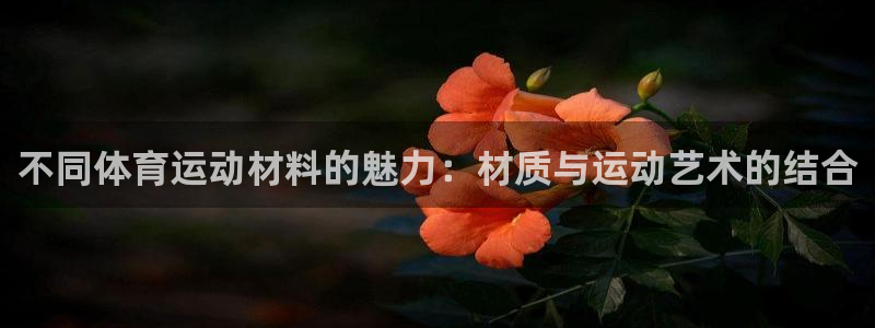 球王会体育