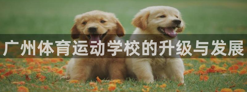 球王会体育