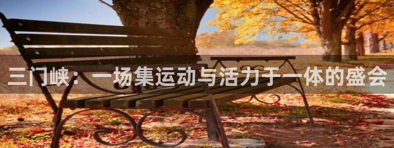 球王会体育：三门峡：一场集运动与活力于一体的盛会