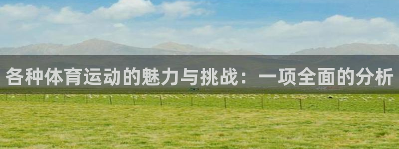 球王会体育：各种体育运动的魅力与挑战：一项全面的分析