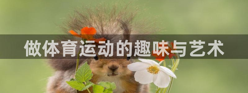 球王会体育：做体育运动的趣味与艺术