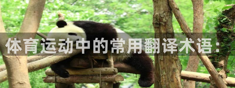 球王会体育