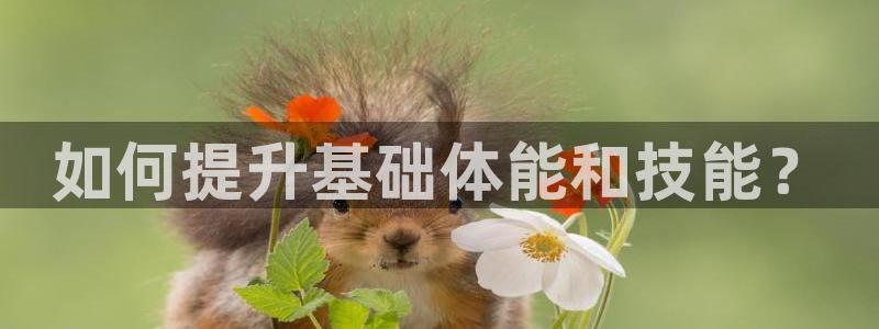 球王会体育