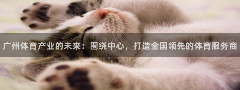 球王会体育：广州体育产业的未来：围绕中心，打造全国领先的体育服务商